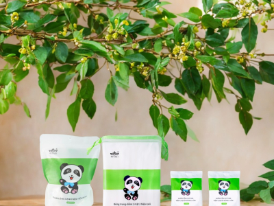 Chưa Ai Nói Bạn Mua Khăn Nén Beyaki Ở Đâu Để Deal Hời Không Lo Bị Lỗ
