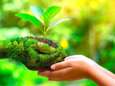 Khăn nén cotton ngoài việc sạch sẽ và tiện lợi, nó có ý nghĩa xa hơn nữa