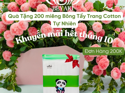 Khăn tắm nén mua ở đâu? Bí quyết chọn mua sản phẩm tiện lợi cho chuyến đi