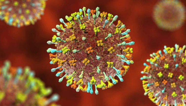 Virus Nipah là loại gì ?